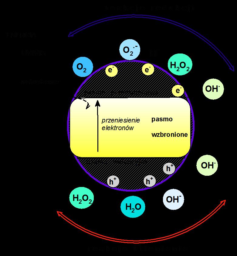 + fotokatalizator + hν h VB - + e CB + - Wygenerowane w ten sposób nośniki ładunków, czyli h VB i e CB ulegają migracji do powierzchni fotokatalizatora gdzie mogą uczestniczyć w reakcjach,