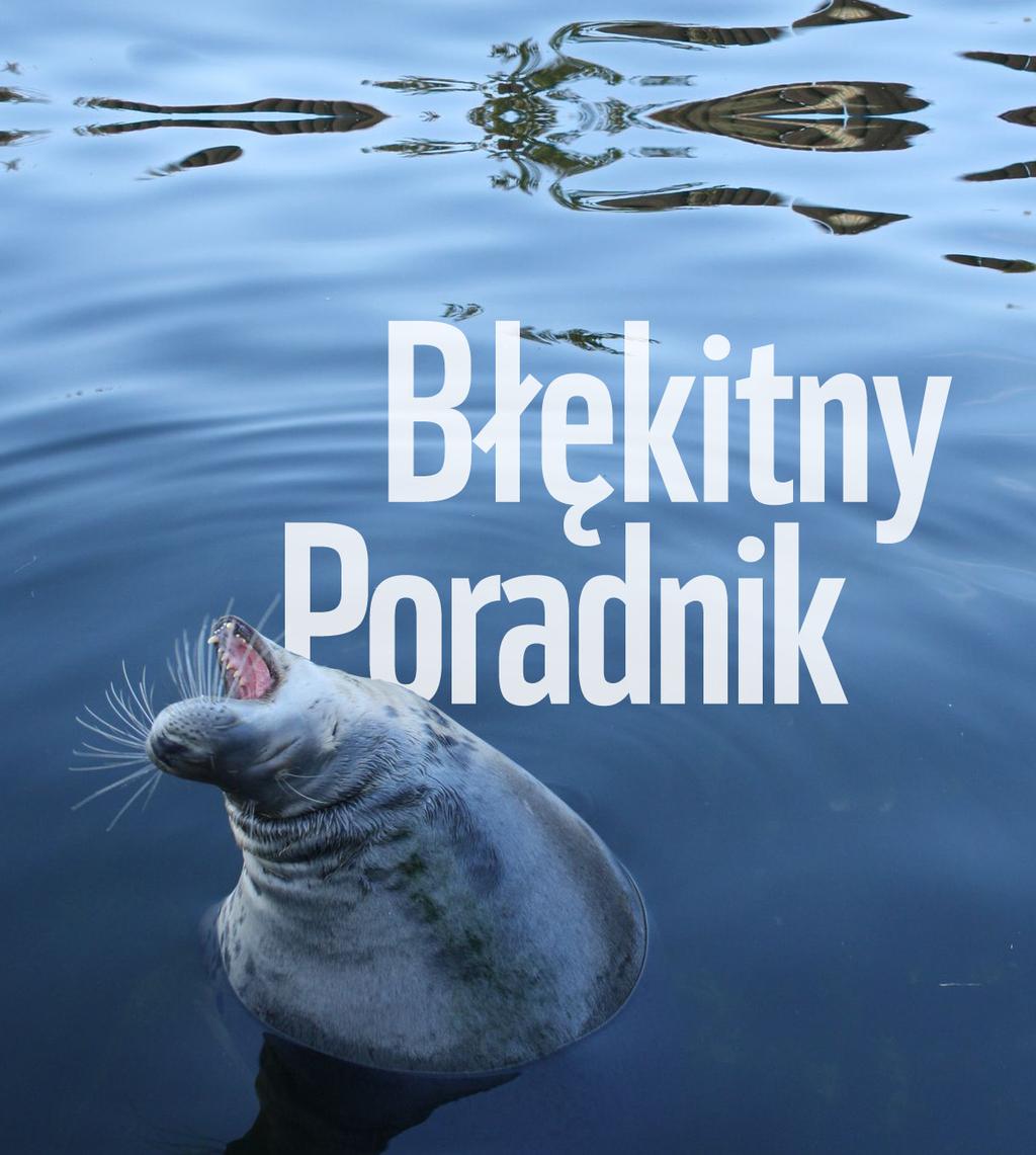 PORADNIK