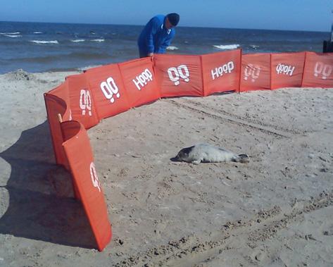 Karczewska/WWF Jeśli mieszkasz blisko plaży i chcesz