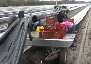 Erntemaschine Harvester Schneidesystem Cutting system Erntemaschinen für weißen Spargel arbeiten auf sandigen Böden und in