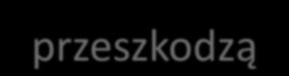 Wbrew początkowym obawom bariera językowa nie jest dużą przeszkodzą.