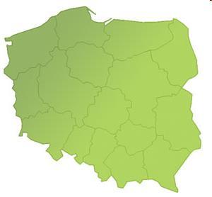 Polskie ośrodki w Rejestrze PodoNet liczba ośrodków -13 liczba pacjentów- 243 Gdańsk (33) Szczecin (11) Toruń (14)