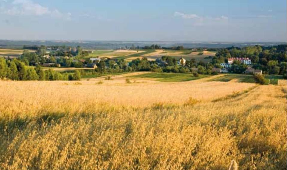 1.3.2. Rolnictwo Gmina ma charakter rolniczo-leśny. Obszary występowania gleb dobrych i bardzo dobrych grupują się w północnej i północno-wschodniej części gminy.