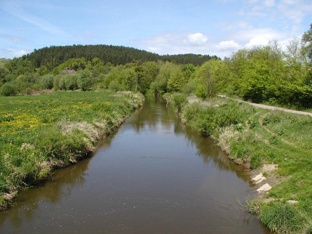 Średnioroczne wartości stężeń wskaźników wód Osy na stanowisku w Zakurzewie badanych w latach 2001 2008 Tab. 2 Wskaźnik j.m.