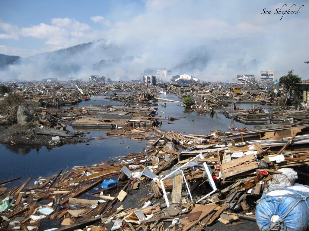 Czy awaria w Fukushimie była skutkiem