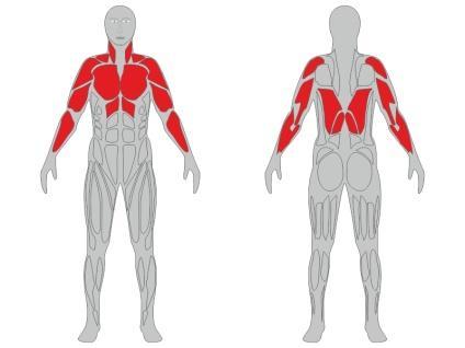 Informacje techniczne o urządzeniu fitness: Nazwa urządzenia: Urządzenie wielofunkcyjne: krzesło do wyciskania, prasa nożna, ławka, drążek do podciągania i podciąg nóg Numer katalogowy: FW20 Zgodność