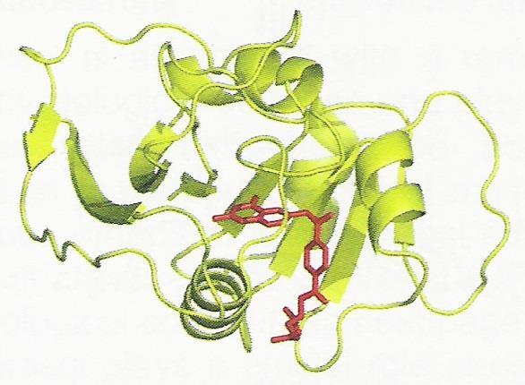 Metotreksat rok odkrycia lata 1948 (Lederle), rok wprowadzenia 1953 przeciw-metaboliczny / przeciwzapalny / immonosupresant w szczególności: artretezm, choroba Crohna, łuszczyca (psoriasis) Struktura