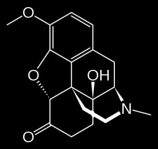 cytochrom P450 uszkadza wątrobę (nieodwracalnie wiąże glutation)