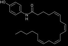 (metabolizowane do acetaminofenu) (anandamid) Propozycje działania: (1)