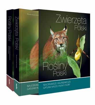 przyroda 2 Rośliny Polski i Zwierzęta Polski (komplet w etui) autorki: Rośliny: Barbara
