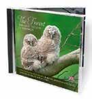 zł 270 remarkable photographs: landscapes, atmosphere of the forest, inhabitants,