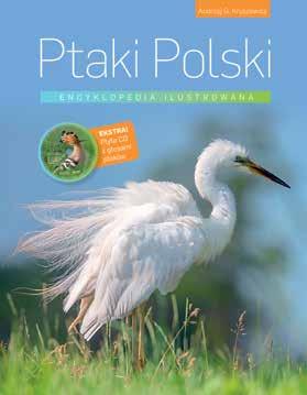 >PTAKI POLSKI przyroda 23 Ptaki Polski.