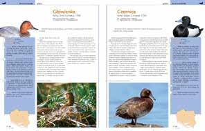 Mała encyklopedia ilustrowana autor: