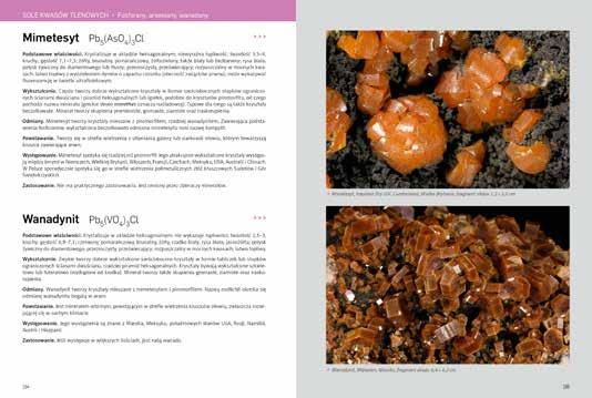 Każdy minerał jest opisany według jednakowego schematu i zawiera informacje o podstawowych właściwościach, wykształceniu, odmianach, powstawaniu, występowaniu i zastosowaniu.