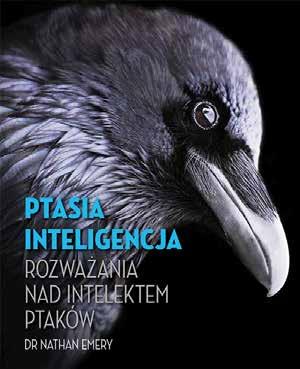 przyroda 6 Ptasia inteligencja.