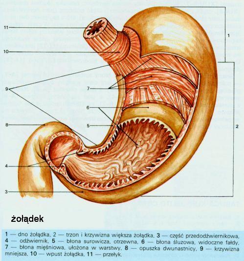 okrężne i m.