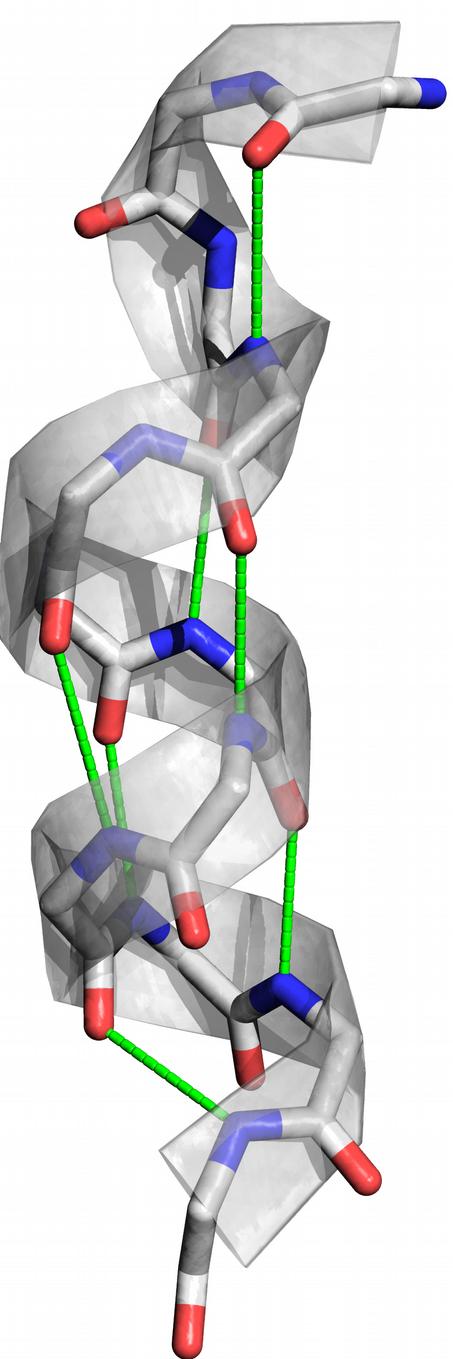 elementów struktury drugorzędowej α-helisy występującymi są Alternatywnie, struktury i β-kartki, drugorzędowe białka, z których przedstawione mogą być na najczęściej Rysunku zdefiniowane 1.2.