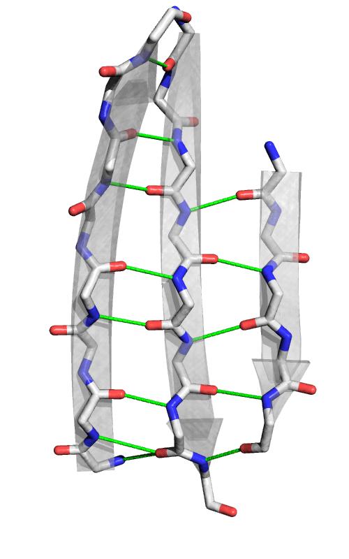 Rysunek 1.2. α-helisa i β-kartka z zaznaczonymi na zielono wiązaniami wodorowymi. Tleny grupy karbonylowej oznaczone na czerwono, a azoty grupy amidowej na niebiesko.