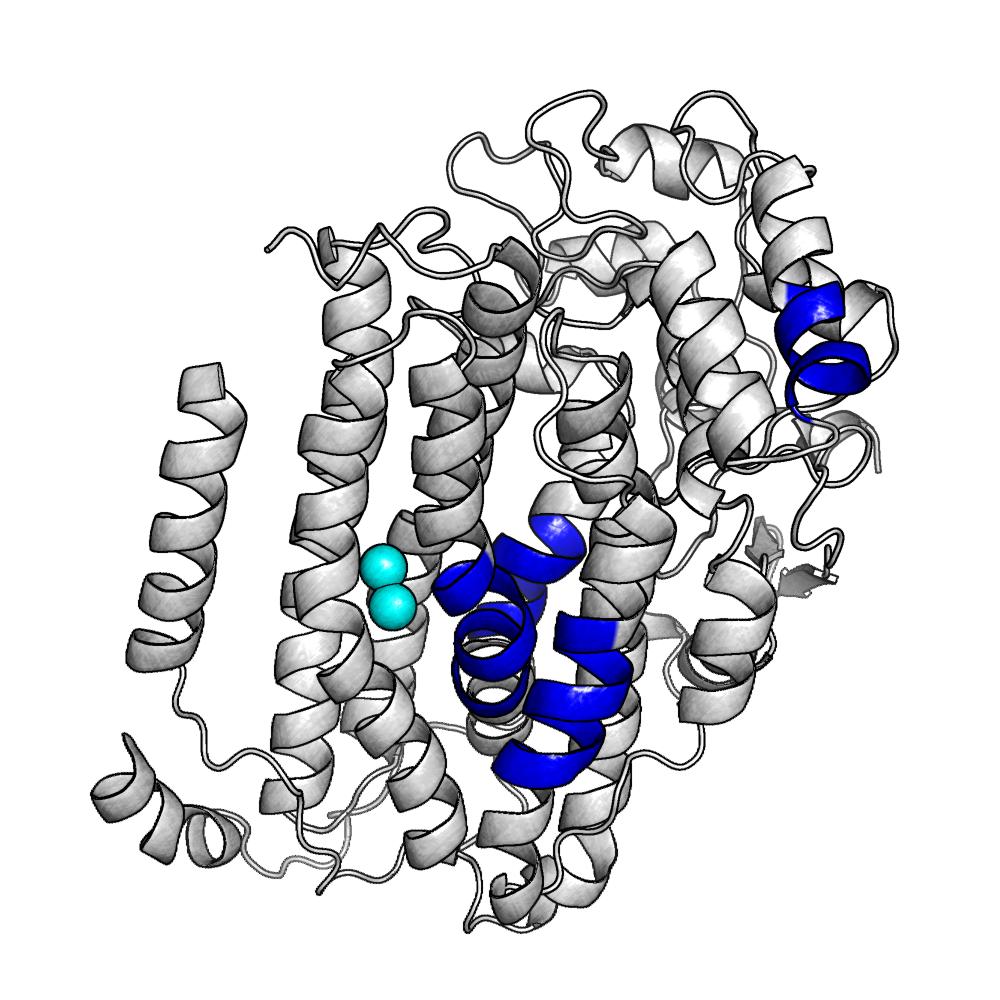 π-helisa (I) skręt z wiązaniami hydrofobowymi (T) β-kartka (E) β-mostek (B) skręt bez wiązań hydrofobowych (S) fragment nieustrukturyzowany (C) Oddziaływania między aminokwasami odległymi w sekwencji