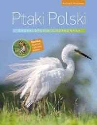 1. Ptaki Polski, Andrzej G. Kruszewicz Nowa, zaktualizowana, jednotomowa encyklopedia ilustrowana zawiera zdjęcia i opisy wszystkich gatunków ptaków występujących w Polsce.