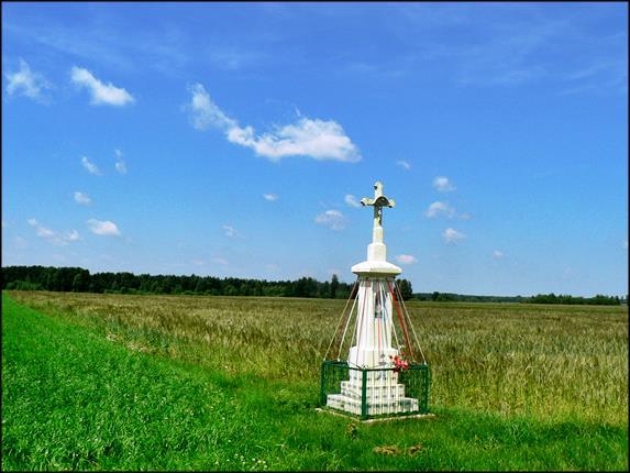 Pijanów