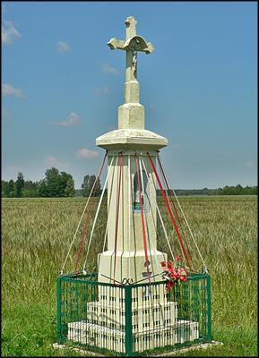 Pijanów