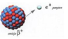 neutronów;z,