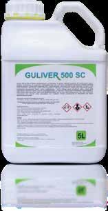 Guliver 500 SC Gwarant 500 SC Guliver 500 SC jest środkiem grzybobójczym, koncentratem w postaci stężonej zawiesiny do rozcieńczania wodą o działaniu kontaktowym do stosowania zapobiegawczego lub w