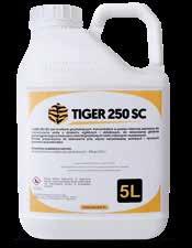 Tiger 250 SC jest środkiem grzybobójczym, koncentratem w postaci stężonej zawiesiny do rozcieńczania wodą o działaniu wgłębnym i układowym, do stosowania głównie zapobiegawczego w zwalczaniu chorób