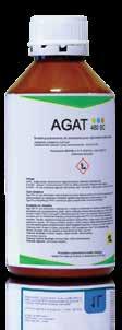 Agat 480 SC jest herbicydem selektywnym o działaniu kontaktowym.