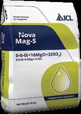 Nova PeKacid Nova Peak Nova Mag-S PeKacid jest nawozem fosforowo-potasowym, poprawiającym przyswajanie składników pokarmowych i może być stosowany do oczyszczania instalacji w opryskiwaczu. 1.