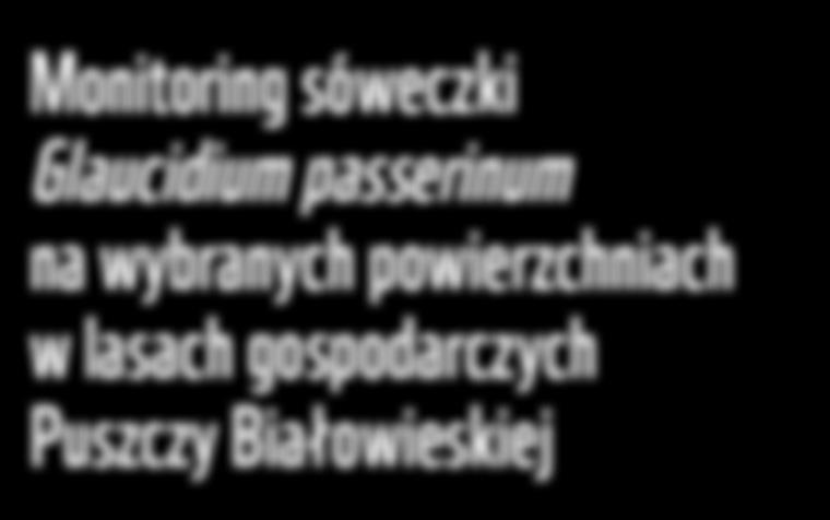 Onikijuk Puszczy Białowieskiej Monitoring sóweczki Glaucidium