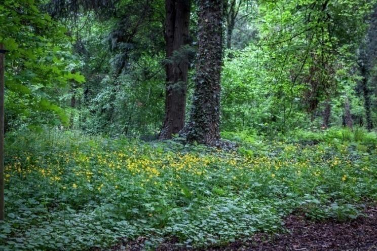 przyrodniczych i rekreacyjnych priorytetów