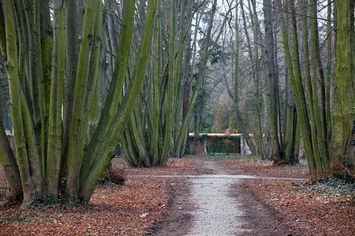 Park ma wiele wartości, a większość z nich