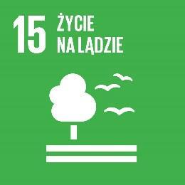 Wdrożenie instrumentów oraz narzędzi umożliwiających wsparcie podmiotów działających w ramach ekonomii społecznej (w tym pożyczki, mikropożyczki) Świadczenie usług szkoleniowych dedykowanych