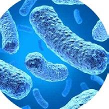 Działanie Bakteriostatyczne nie wspiera wzrostu biologicznego i nie pozwala na rozwój mikroorganizmów, bez stosowania dodatków biobójczych.
