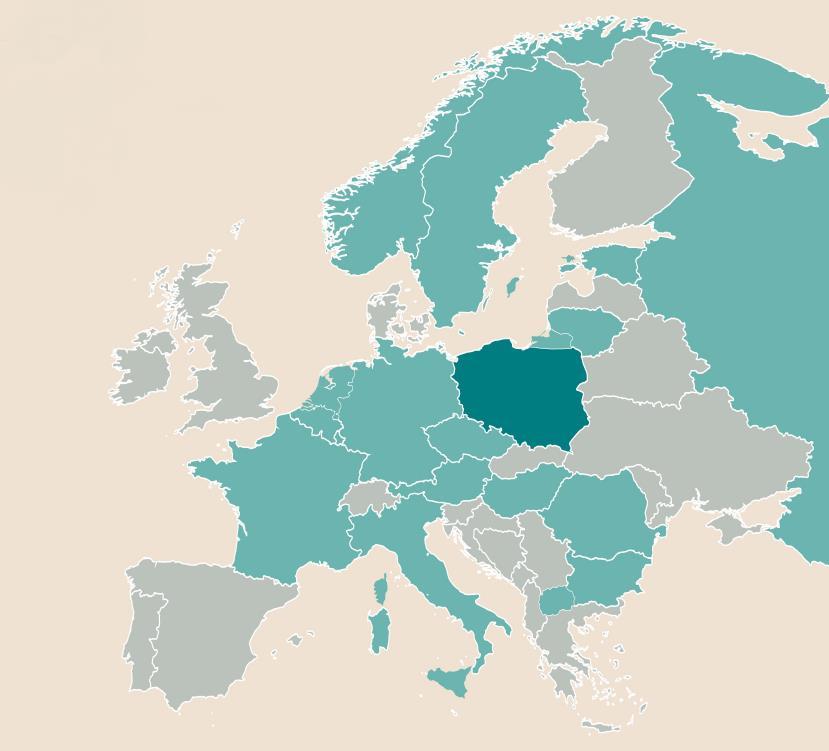 Międzynarodowy program badań demograficznych Cel: rozpoznanie i wyjaśnienie współczesnych przeobrażeń demograficznych w krajach europejskich GGS - panelowe badanie ankietowe (kolejne rundy co trzy