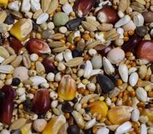 Mieszanki lotowe dla wdowców Mieszanki lotowe specjalistyczne z kukurydzą popcorn Białko surowe 12.4% Tłuszcz surowy 6.6% Włókno surowe 3.6% Popiół surowy 1.