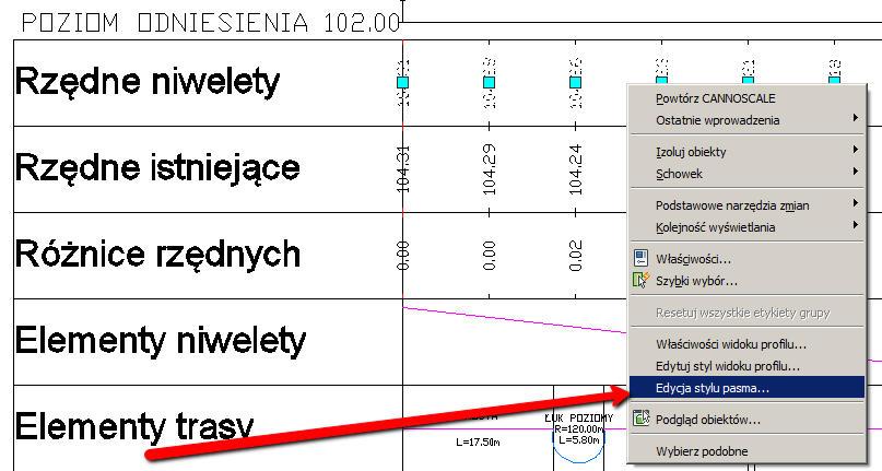 2. Etykiety danych w pasmach pod profilem w punktach geometrii poziomej.