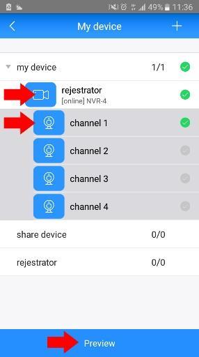 Dostęp do rejestratora IP