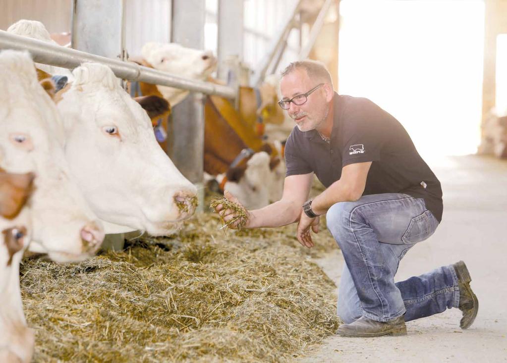 Miramin EXTRA Mineralna mieszanka paszowa uzupełniająca dla krów mlecznych o wysokiej wydajności, zalecana w technologii żywienia
