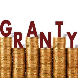 PROJEKTY GRANTOWE Projekty grantowe mogą realizować osoby fizyczne, organizacje społeczne, jednostki sektora finansów publicznych, osoby prawne, podmioty ekonomii społecznej, kościoły związki