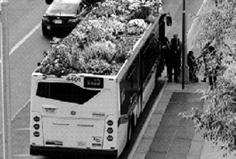 Agnieszka Chojecka Znaczenie terenów zielonych... Zdjęcie 1. Zieleń na dachu autobusu Źródło: Zielone dachy miejskich autobusów, (2010) http:// gardenblog.pl/zielone-dachy-miejskich-autobusow/ [3.10.2013].