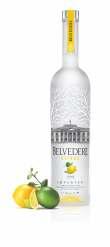 VODKA MIĘDZYNARODOWY SUKCES MADE IN POLAND Jak to możliwe, że serwowana dziś w ponad 100 krajach świata polska Belvedere Vodka rozkręca zabawę w najlepszych klubach od Ameryki i