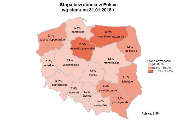 Pomorskiego Obserwatorium Rynku Pracy, Wojewódzki