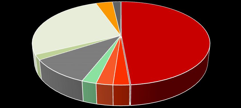 Klasyfikacja użytków 4% 2% B Bi 27% 49% Bp Br dr Ł 2% R 10% 2% 2% 2%