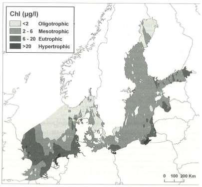Stężenia chlorofilu a w warstwie -1 m w Bałtyku i części Morza Północnego w okresie wegetacyjnym w latach 199-25; chl.