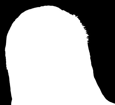 renderer na