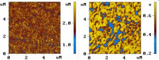 Scanning Kelvin Probe Microscopy (SKPM) Przystawka do AFM skala nanometrowa. Surface potential of two-component LB film.