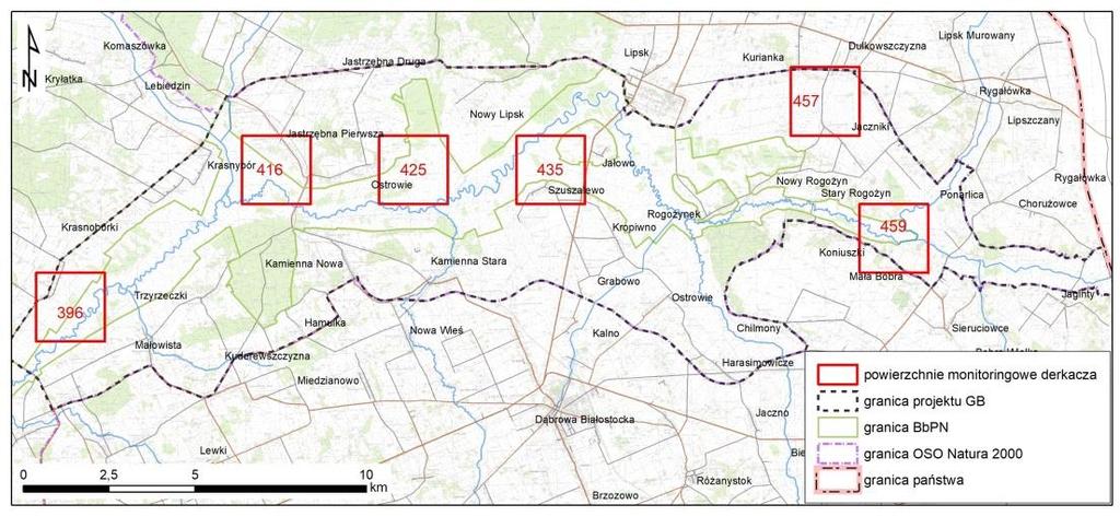 wodniczki na poszczególnych ostojach w latach 2013-2017 Liczebność derkacza na powierzchniach próbnych uzależniona